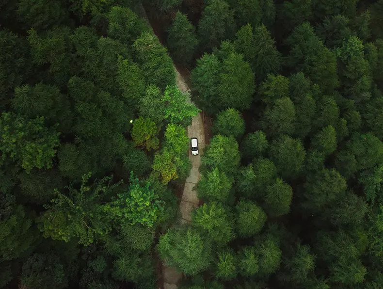 Voiture circulant dans une forêt verte, illustrant la mission de TOLV : rendre la mobilité plus propre et accessible - Tolv