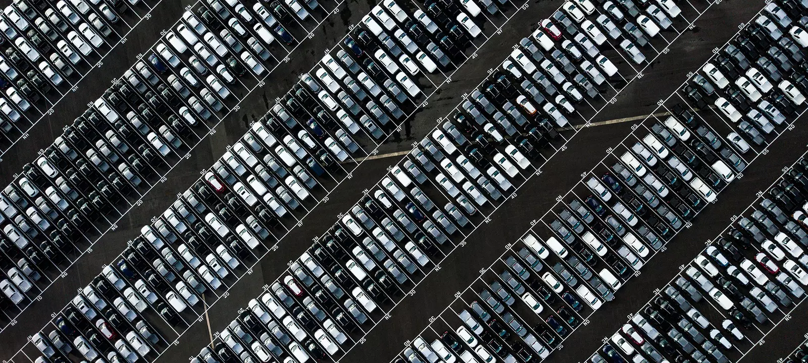 Entreprises : choisissez la voiture électrique pour votre flotte